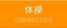 体操 GIMNASTICS